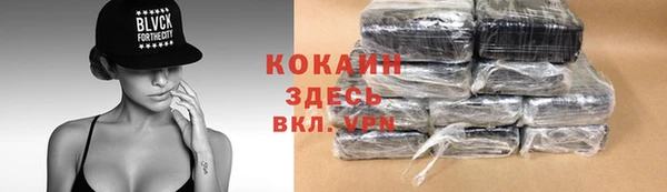PSILOCYBIN Белокуриха