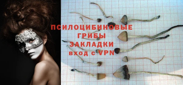 PSILOCYBIN Белокуриха