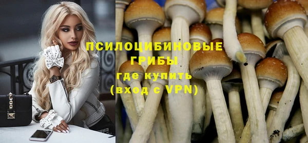 PSILOCYBIN Белокуриха