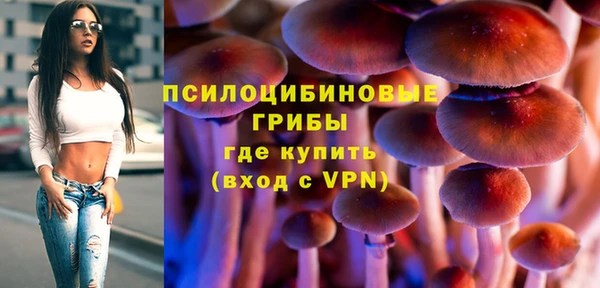Альфа ПВП Балахна