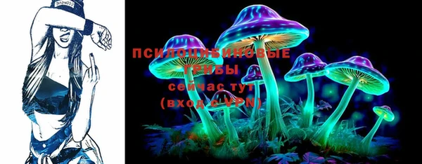 PSILOCYBIN Белокуриха
